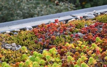 the cost of High Laver green roof installation