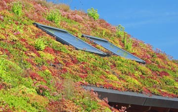 High Laver living roof systems